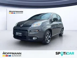 Grau Gebraucht 2021 Fiat Panda Sport Kleinwagen | 10.790 € (Guter Preis)