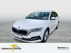 Weiß Gebraucht 2023 Skoda Octavia Style Kombi | 22.880 € (Guter Preis)