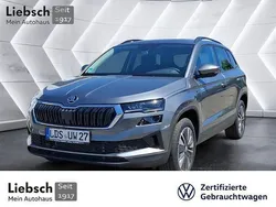 Grau Gebraucht 2025 Skoda Karoq Selection SUV | 36.990 € (Etwas zu teuer)