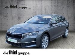 Grau Gebraucht 2025 Skoda Octavia Exclusive Kombi | 32.990 € (Guter Preis)