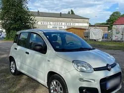 Weiß Gebraucht 2017 Fiat Panda Kleinwagen | 6.900 € (Fairer Preis)