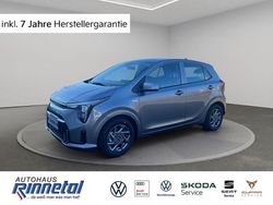 (m7g) astro grey m Neu 2025 Kia Picanto Vision Kleinwagen | 16.810 € (Fairer Preis)