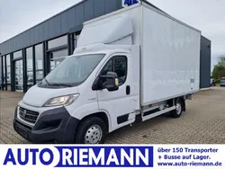 Weiß Gebraucht 2018 Fiat Ducato Van | 20.924 € (Fairer Preis)