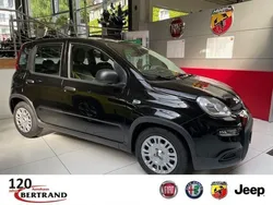 Schwarz Neu 2025 Fiat Panda Kleinwagen | 15.999 €