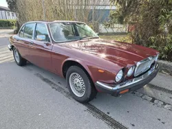 Rot Gebraucht 1983 Jaguar XJ6 Limousine | 2.200 €