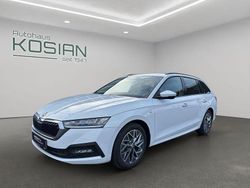 Weiß Gebraucht 2022 Skoda Octavia Tour Kombi | 25.480 € (Fairer Preis)