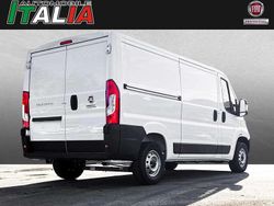 Weiss Gebraucht 2024 Fiat Ducato Van | 36.948 €