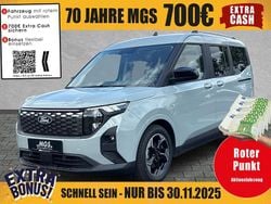 Cactus grey Neu 2025 Ford Tourneo Van / Kleinbus | 34.990 € (Fairer Preis)