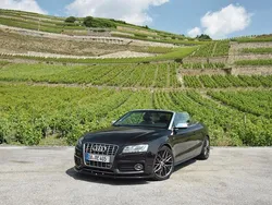 Braun Gebraucht 2010 Audi S5 Cabriolet Cabrio | 16.500 €