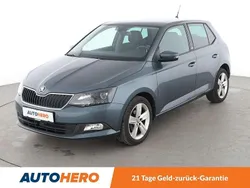 Grau Gebraucht 2016 Skoda Fabia Joy Kleinwagen | 9.940 € (Fairer Preis)