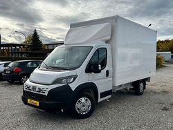 Weiß Neu 2025 Fiat Ducato Van | 47.980 €