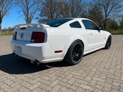 Weiß Gebraucht 2005 Ford Mustang GT Coupé | 17.497 € (Teuer)