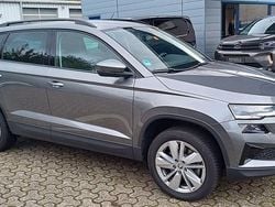 Grau Gebraucht 2024 Skoda Karoq Selection SUV | 28.980 € (Guter Preis)