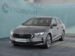 Grau Gebraucht 2024 Skoda Octavia Exclusive Kombi | 35.595 € (Teuer)