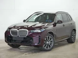 Bmw individual ametrin metalli Gebraucht 2024 BMW X5 M Sport SUV | 87.490 €