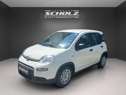 Gelato weiß Neu 2024 Fiat Panda Kleinwagen | 15.490 € (Fairer Preis)