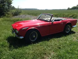 Rot Gebraucht 1967 Triumph TR4 Cabrio | 24.379 €