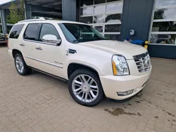 Weiß Gebraucht 2012 Cadillac Escalade SUV | 30.200 € (Superpreis)