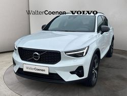 Weiss Gebraucht 2025 Volvo XC40 Business Edition SUV | 36.980 € (Fairer Preis)