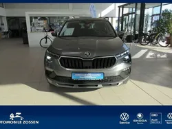 Grau Gebraucht 2024 Skoda Kamiq Selection SUV | 25.290 € (Etwas zu teuer)