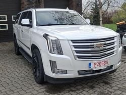 Weiß Gebraucht 2020 Cadillac Escalade SUV | 24.900 €