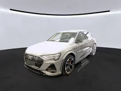 Individuallackierungen audi exclusive Gebraucht 2021 Audi e-tron Ambiente SUV | 50.062 € (Etwas zu teuer)