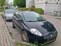 Gebraucht 2009 Fiat Punto Kleinwagen | 1.350 €