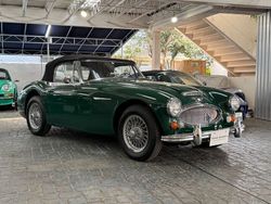 Grün Gebraucht 1966 Austin Healey 3000 MK III Cabrio | 50.000 €