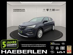 Saphir grau Gebraucht 2018 Opel Grandland X Innovation SUV | 12.390 € (Fairer Preis)