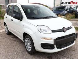 Gelato weiß Neu 2025 Fiat Grande Panda Kleinwagen | 14.852 € (Fairer Preis)