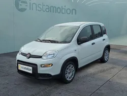 Weiß Neu 2024 Fiat Panda Kleinwagen | 12.499 € (Guter Preis)