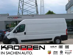 Weiss Neu 2025 Fiat Ducato Van | 35.990 € (Etwas zu teuer)