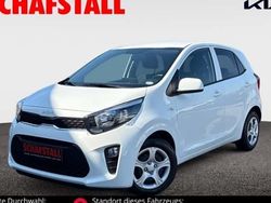 Weiss ((ud) schneeweiss) Gebraucht 2024 Kia Picanto Vision Kleinwagen | 15.479 € (Fairer Preis)