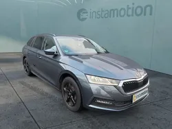 Grau Gebraucht 2021 Skoda Octavia Ambition Kombi | 19.290 € (Fairer Preis)
