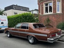 Braun Gebraucht 1978 Buick Electra Limousine | 12.999 €