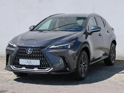 Grau metallic Neu 2024 Lexus NX350h Executive Line SUV | 55.880 € (Etwas zu teuer)