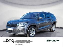 Grau Gebraucht 2023 Skoda Kodiaq Business Line SUV | 28.790 € (Fairer Preis)