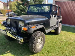 Schwarz Gebraucht 1996 Jeep Wrangler SUV | 9.900 € (Teuer)