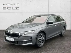 Grau Gebraucht 2024 Skoda Octavia Selection Kombi | 29.990 € (Superpreis)