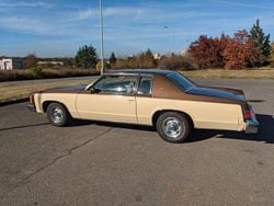 Beige Gebraucht 1979 Oldsmobile Delta 88 | 10.000 €