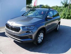 Graphite grau metallic Neu 2025 Skoda Karoq Selection SUV | 32.479 € (Guter Preis)