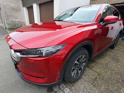 Rot Gebraucht 2020 Mazda CX-5 Sports-Line SUV | 26.000 € (Etwas zu teuer)