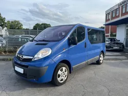 Blau Gebraucht 2010 Opel Vivaro Van | 8.800 € (Etwas zu teuer)