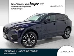 Andere Gebraucht 2024 Jaguar F-Pace R-Dynamic SUV | 53.880 € (Fairer Preis)