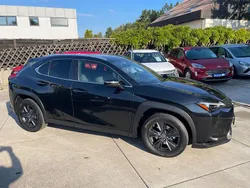 Graphite black Gebraucht 2023 Lexus UX 250h SUV | 29.999 € (Fairer Preis)
