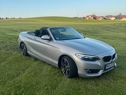 Grau Gebraucht 2015 BMW 218 Comfort Edition Cabrio | 17.199 € (Fairer Preis)