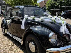 Schwarz Gebraucht 1983 VW Käfer Kleinwagen | 7.777 €