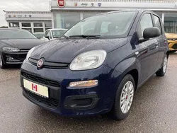 Blau Gebraucht 2021 Fiat Panda Kleinwagen | 11.500 € (Fairer Preis)
