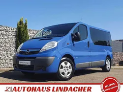 Tintenblau Gebraucht 2013 Opel Vivaro Van | 14.790 €