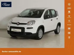 Schwarz Neu 2024 Fiat Panda Kleinwagen | 14.980 €